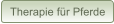 Therapie fr Pferde