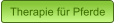Therapie fr Pferde